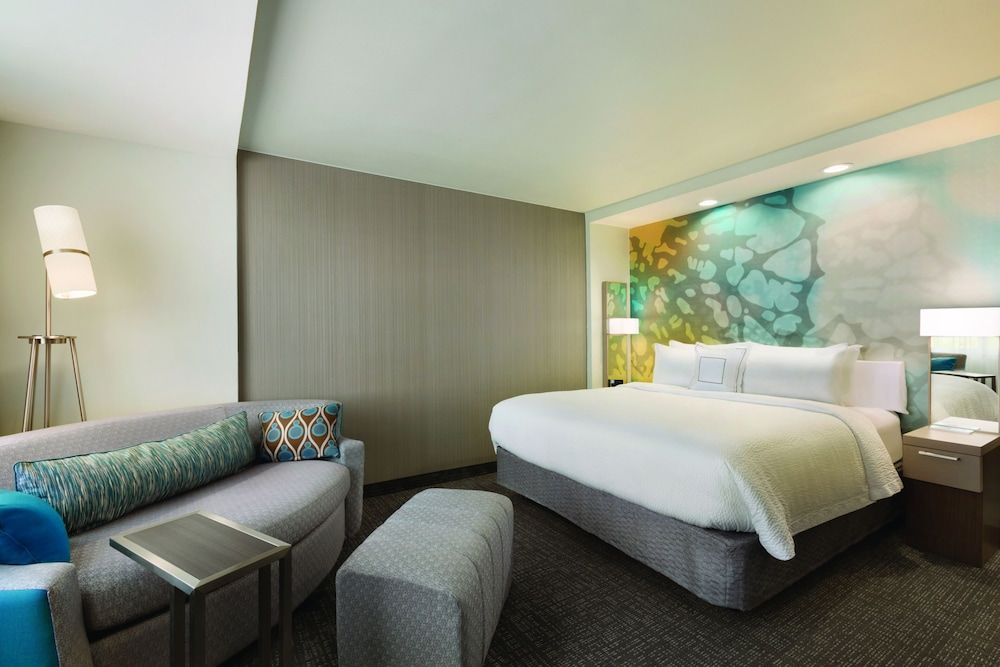 Room, 1 King Bed with Sofa bed (Mobility Accessible, Roll-In Shower)