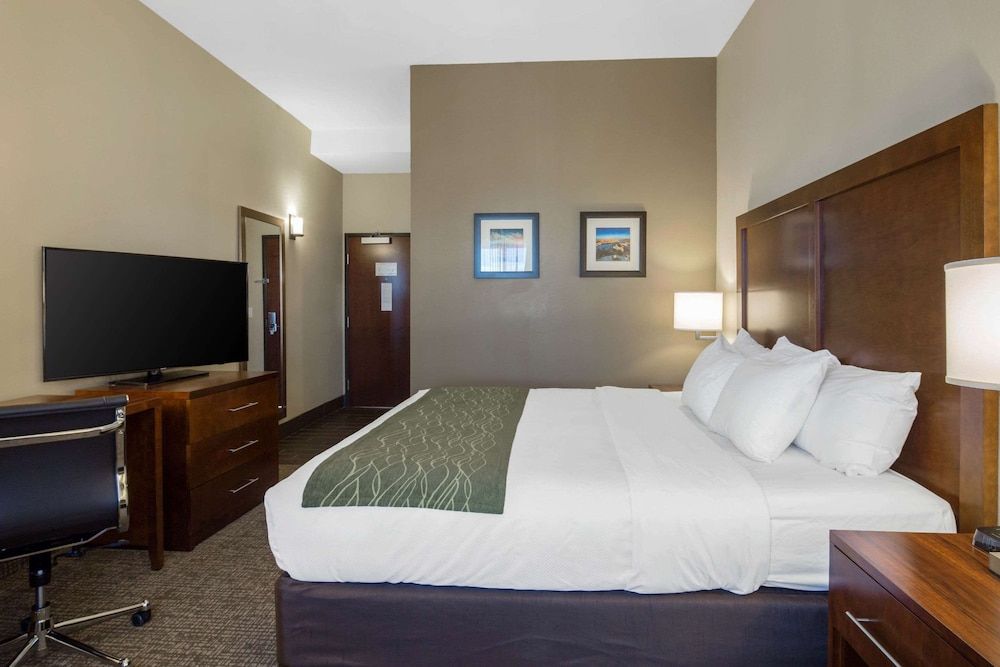 Standard Room, 1 King Bed, Non Smoking