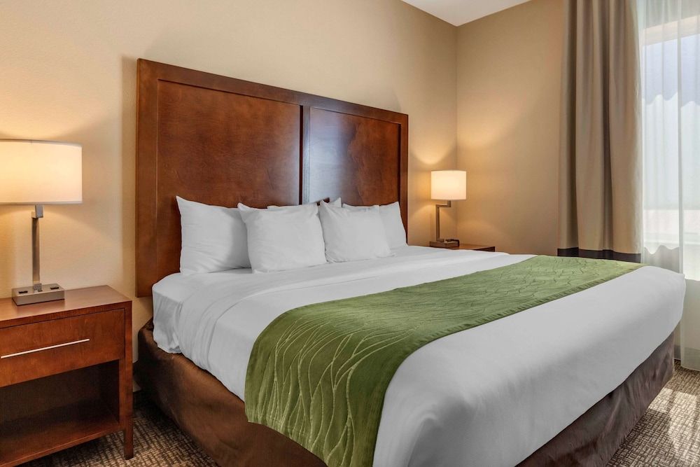 Efficiency, Room, 1 King Bed with Sofa bed, Non Smoking