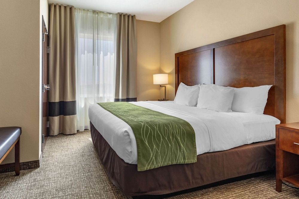 Suite, 1 King Bed with Sofa bed, Non Smoking