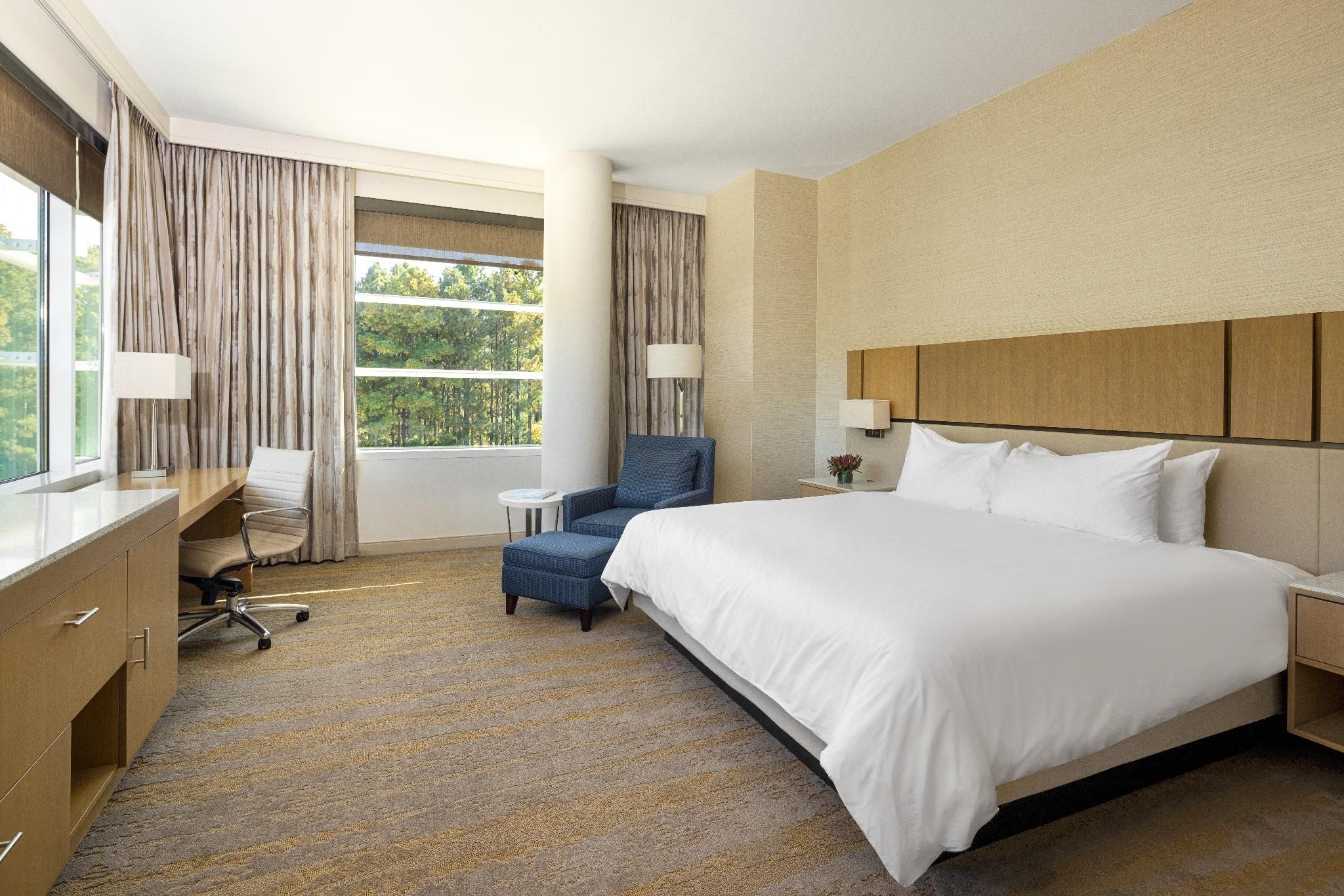 undefined JB Duke Hotel 4