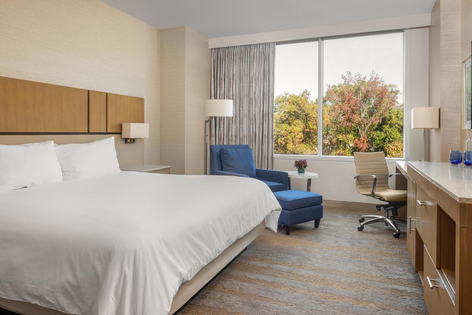 undefined JB Duke Hotel 5