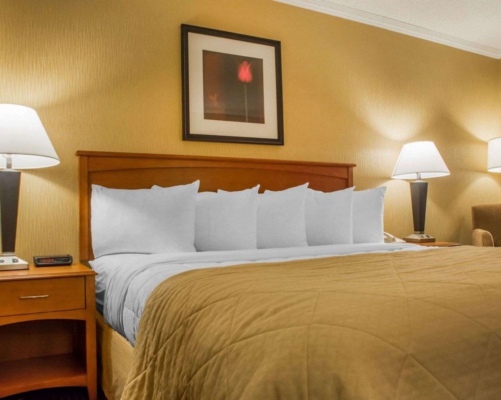 Room, 1 King Bed, Accessible, Non Smoking