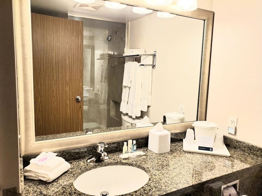 Suite, 1 King Bed with Sofa bed, Non Smoking