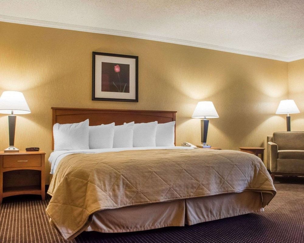 Suite, 1 King Bed with Sofa bed, Non Smoking