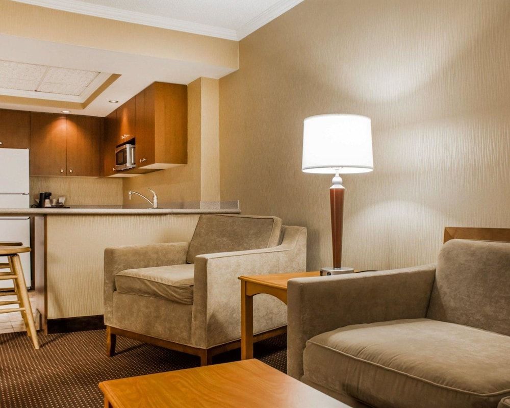 Efficiency, Suite, 1 King Bed with Sofa bed, Non Smoking