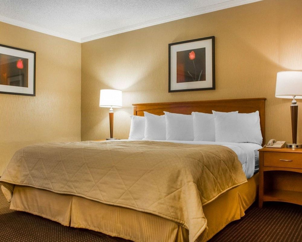 Efficiency, Suite, 1 King Bed with Sofa bed, Non Smoking