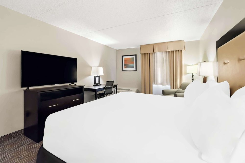 Room, 1 King Bed