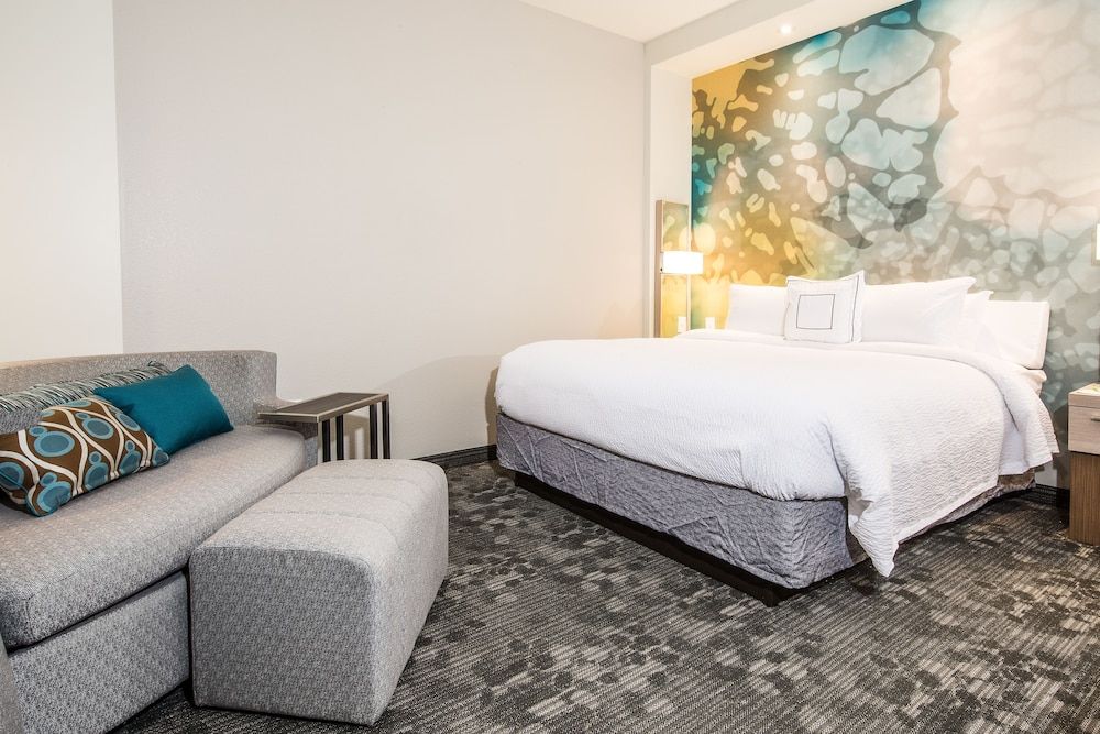 Room, 1 King Bed with Sofa bed (Mobility/Hearing Access, Roll-In Shwr)