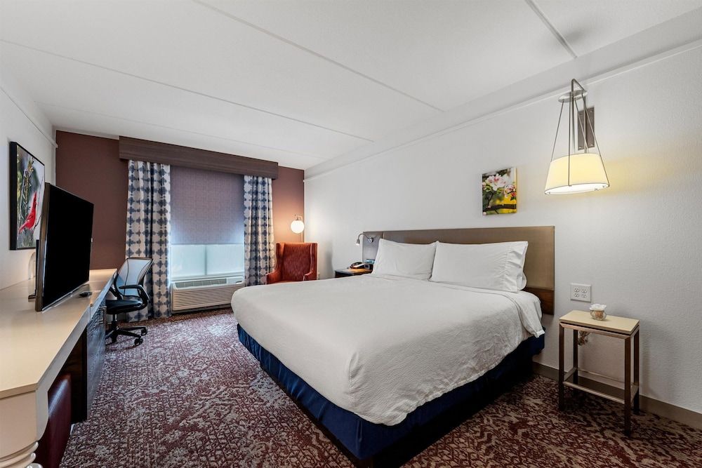 Room, 1 King Bed (Drinks & Snacks)