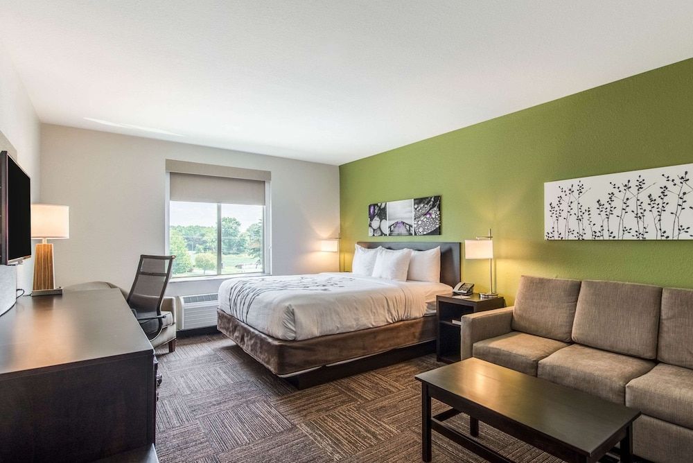Suite, King and Sofa Bed
