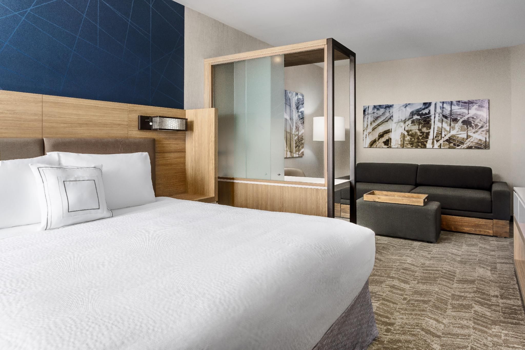 1 King Studio Suite, Suite, 1 King, Trundle Bed