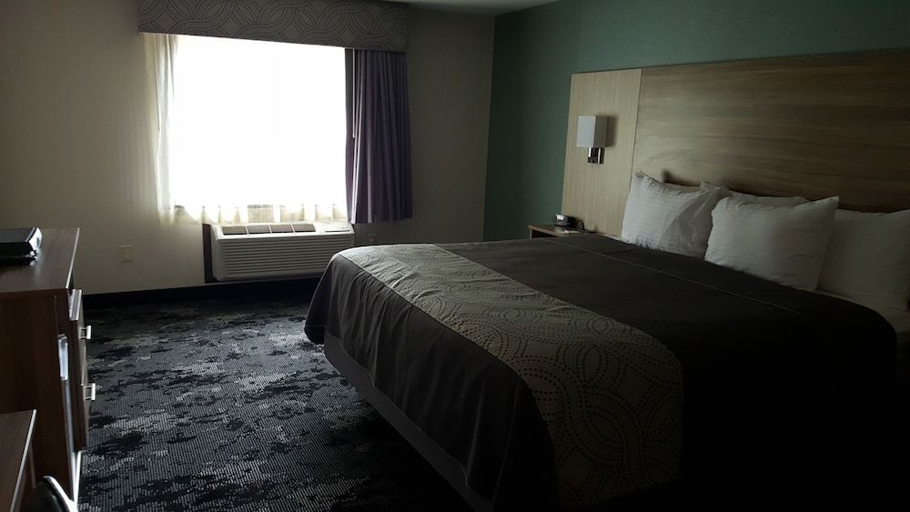 Room, 1 King Bed