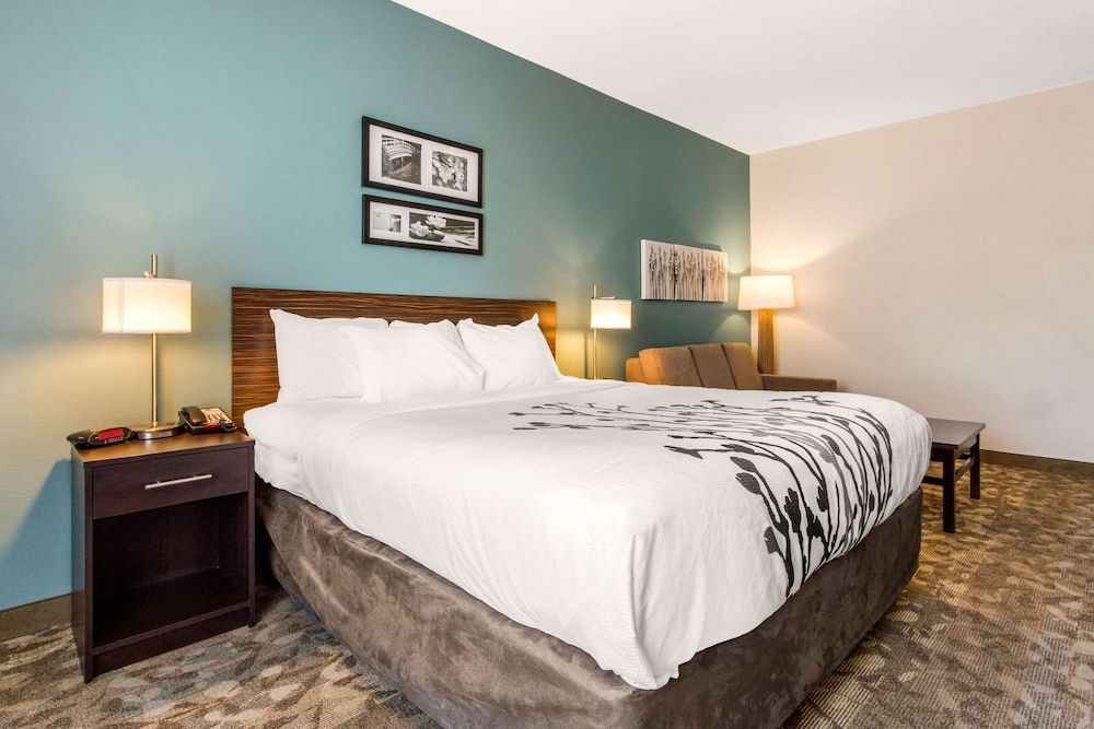 Efficiency, Suite, 1 King Bed, Non Smoking
