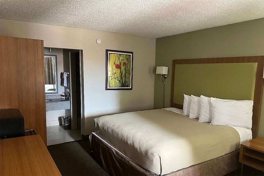 Suite, 1 King Bed, Non Smoking (Efficiency)