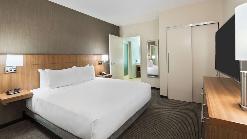 Suite, 1 King Bed with Sofa bed