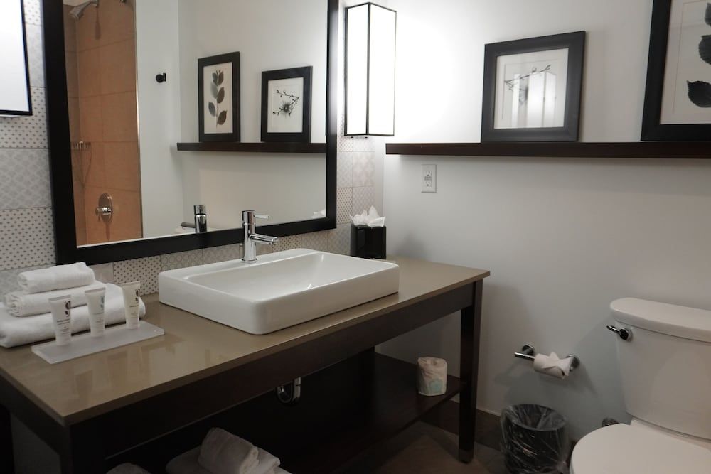 Room, 1 King Bed, Accessible, Non Smoking (Roll-in Shower)