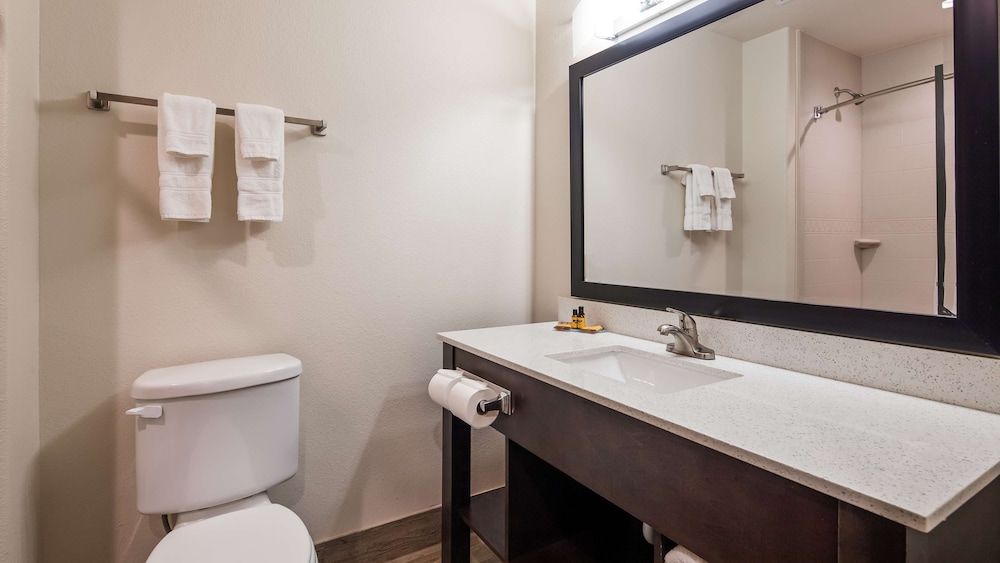 Best Western Plus Ardmore Inn & Suites Standard Room, 1 King Bed, Non Smoking, Refrigerator & Microwave 3