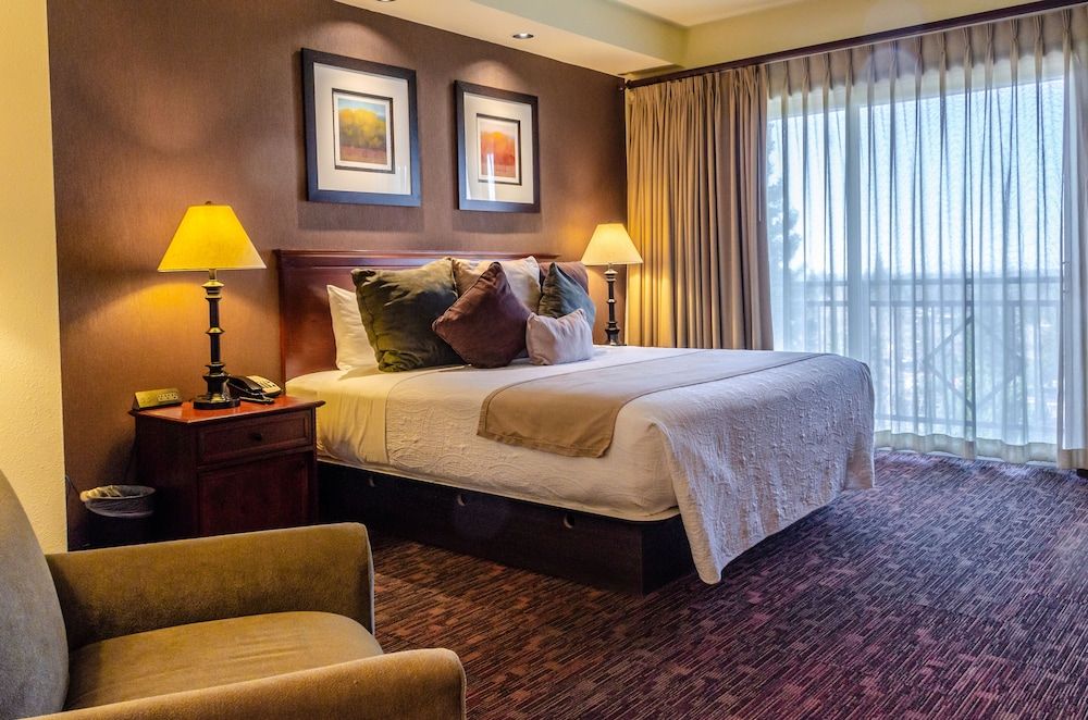 Deluxe Room 1 King Bed