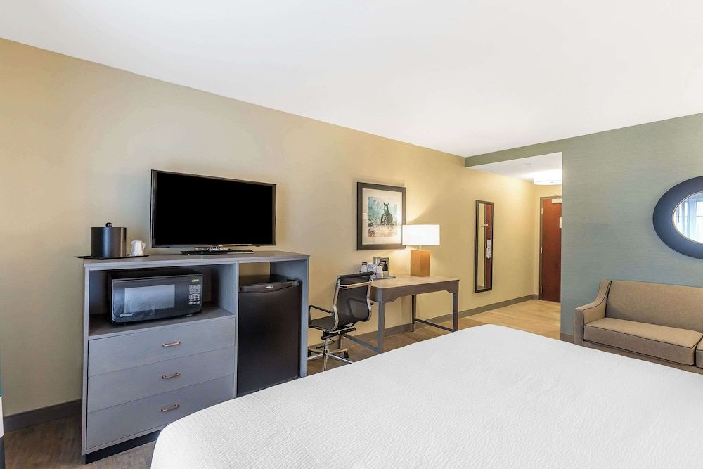 Standard Room, 1 King Bed with Sofa bed