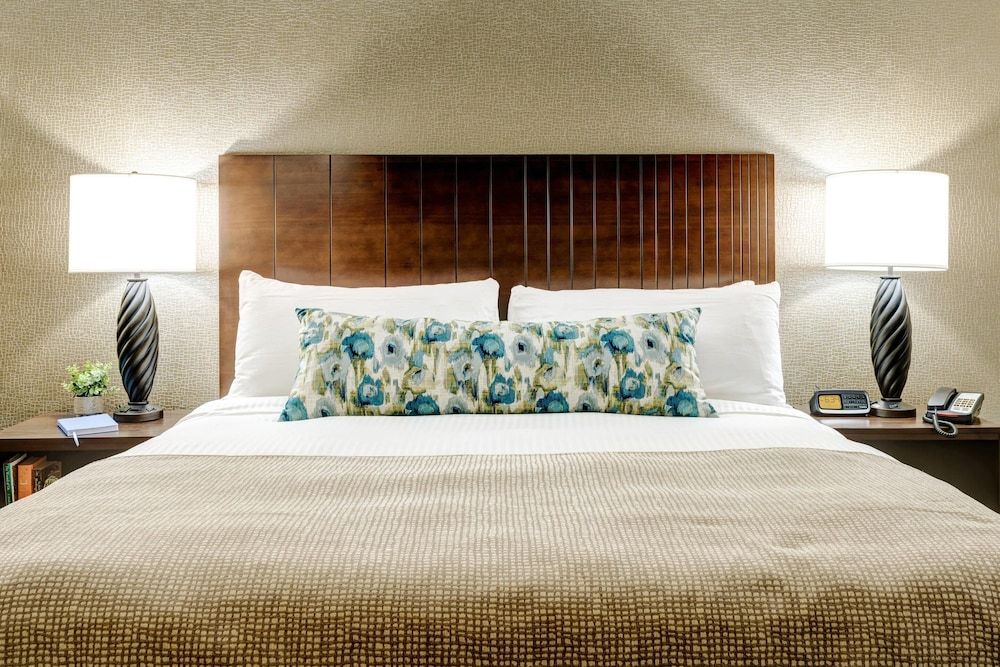 Room, 1 King Bed, Accessible, Non Smoking