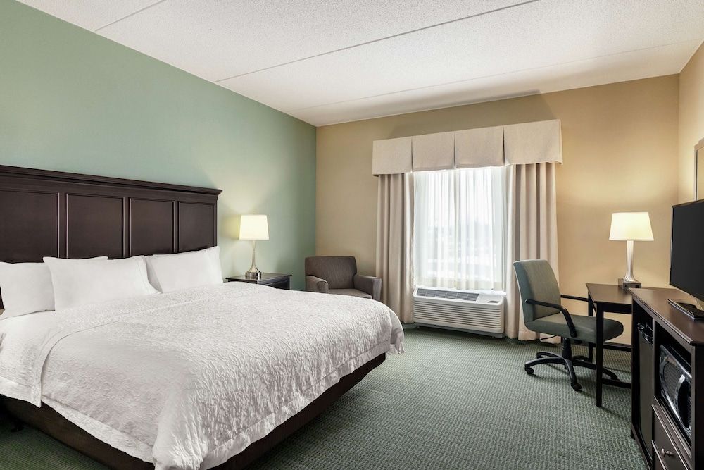 Room, 1 King Bed with Sofa bed, Accessible, Non Smoking (Roll In Shower)
