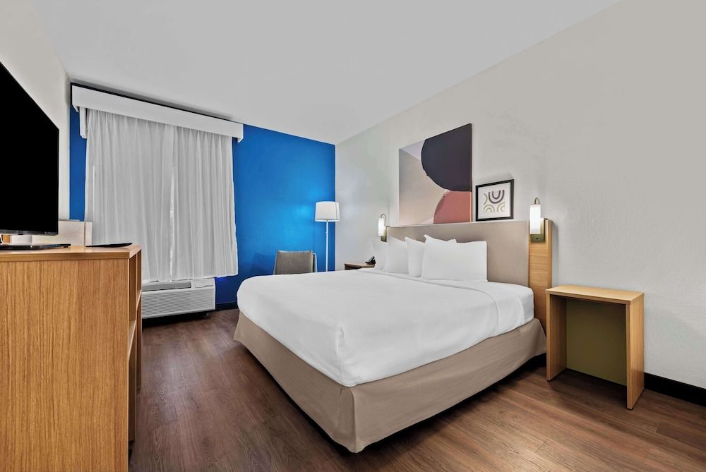 Room, 1 King Bed