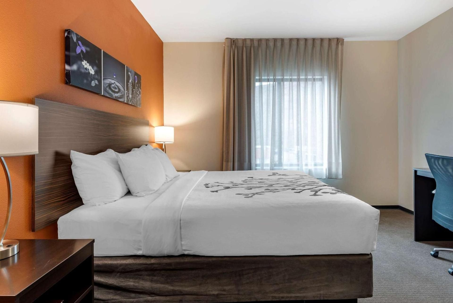 1 King Bed, 2 Queen Beds, Suite, Nonsmoking, Accessible