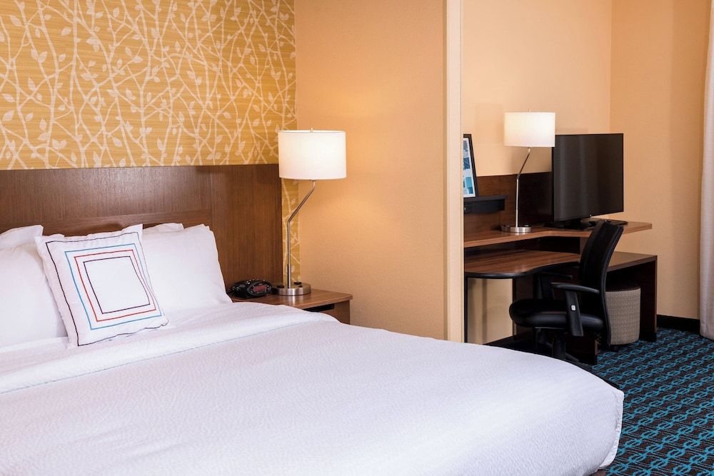 Suite, 1 King Bed with Sofa bed