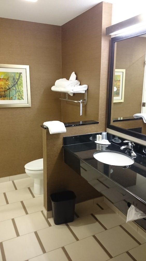 Suite, 1 King Bed with Sofa bed (Hearing Accessible)