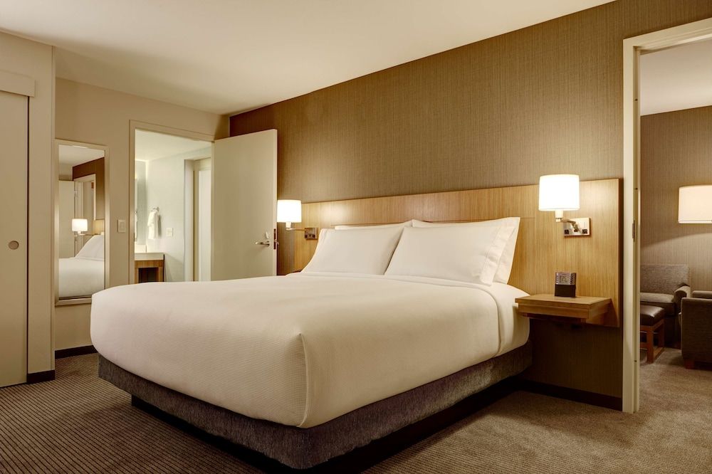 Suite, 1 King Bed with Sofa bed, Accessible (With Shower)