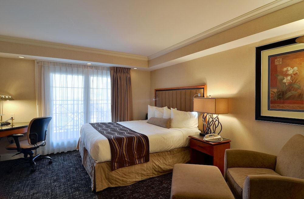 Suite, 1 King Bed, Non Smoking, Refrigerator & Microwave (with Sofabed)