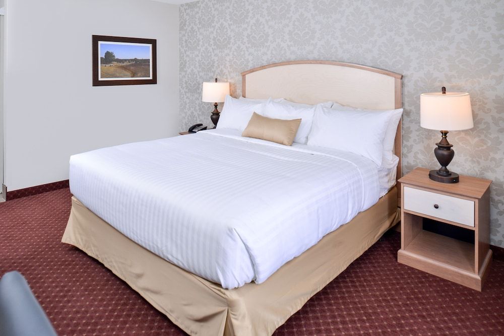 Appomattox Inn and Suites Standard Room, 1 King Bed, Accessible 4