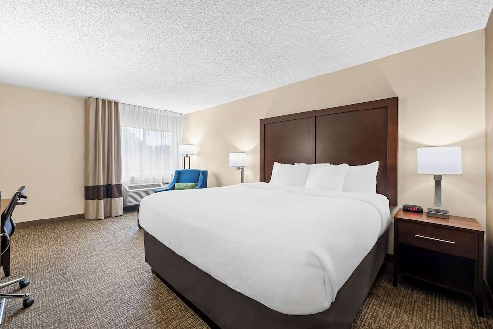 Room, 1 King Bed, Non Smoking
