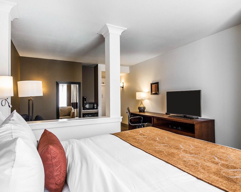 Suite, 1 King Bed with Sofa bed, Accessible, Non Smoking