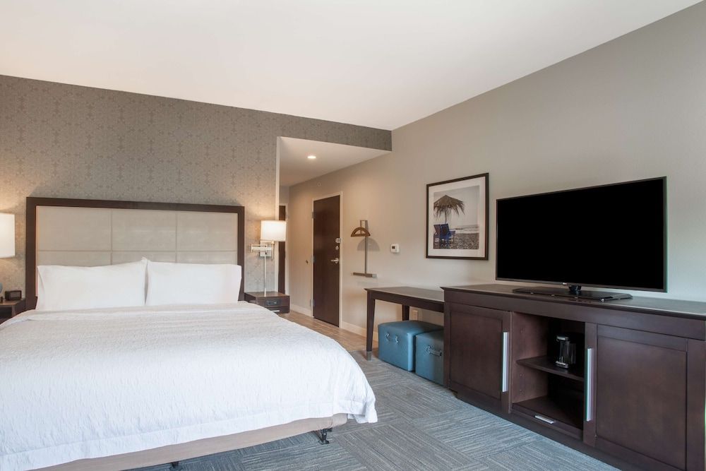 Room, 1 King Bed with Sofa bed, Accessible, Non Smoking (w/ roll-in shower)