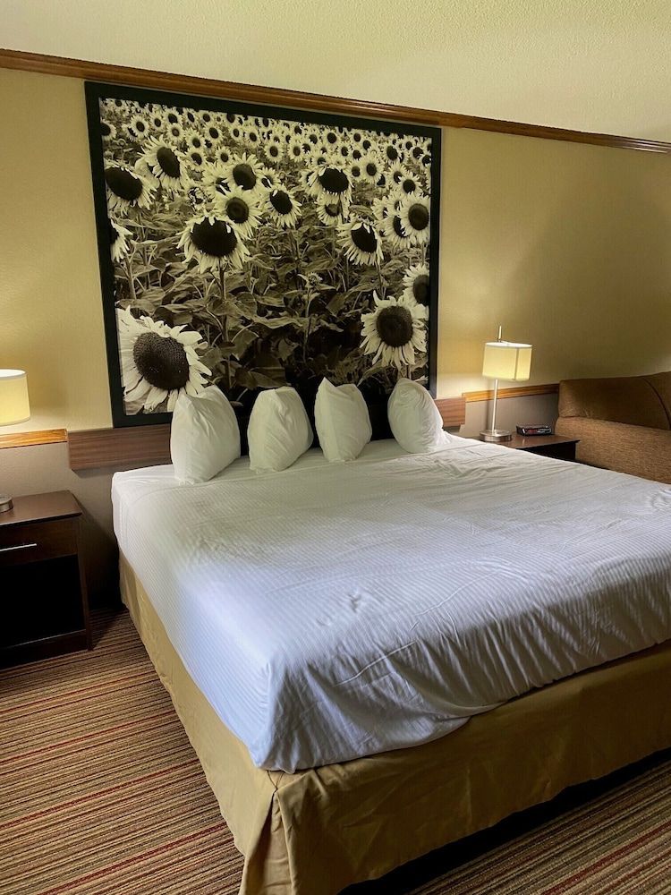 Room, 1 King Bed, Non Smoking