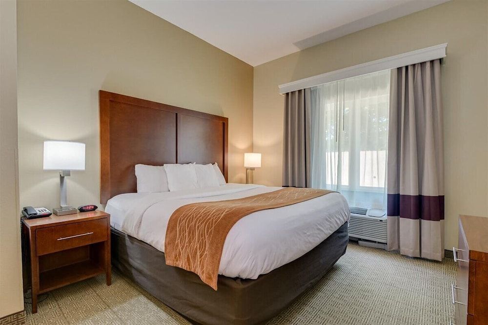 Suite, 1 King Bed with Sofa bed, Non Smoking