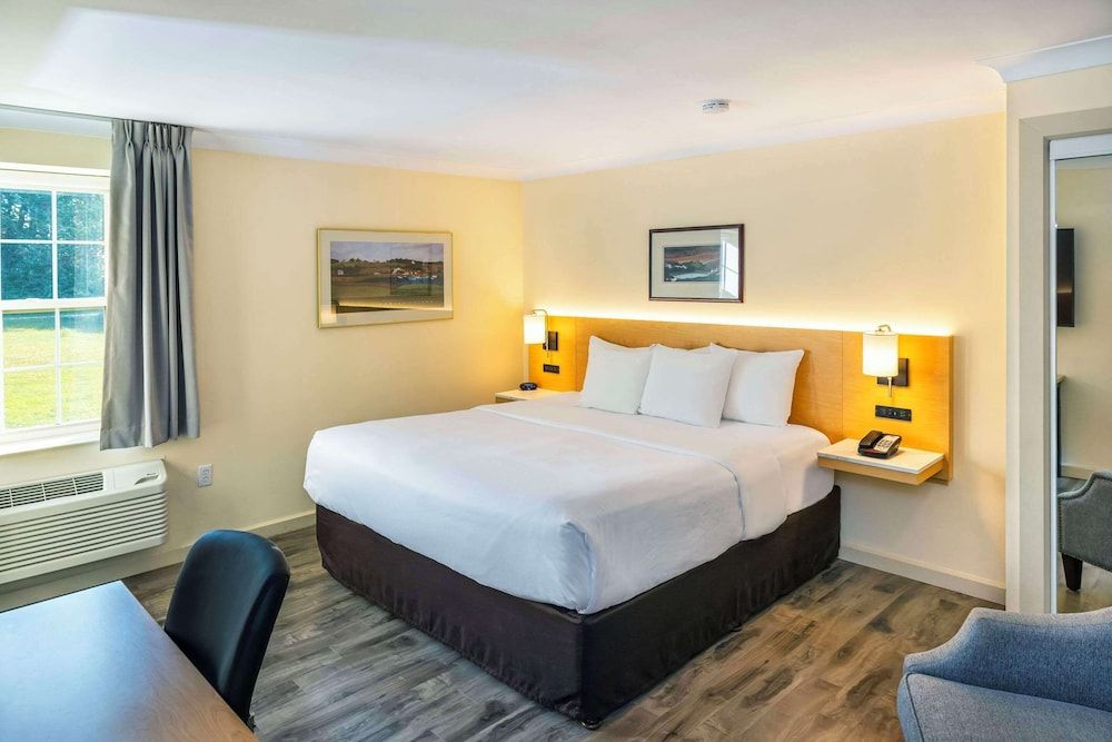 Business Room, 1 King Bed, Non Smoking (Upgrade)