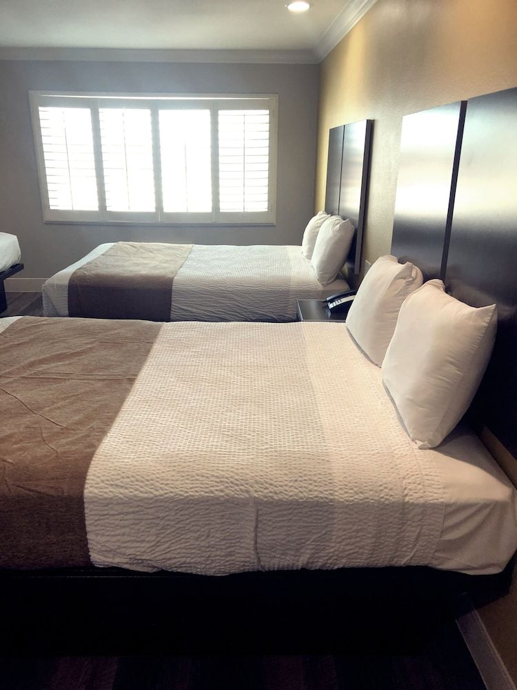 Room, Multiple Beds