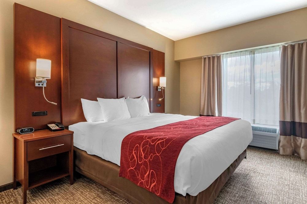 Suite, 1 King Bed with Sofa bed, Accessible, Non Smoking