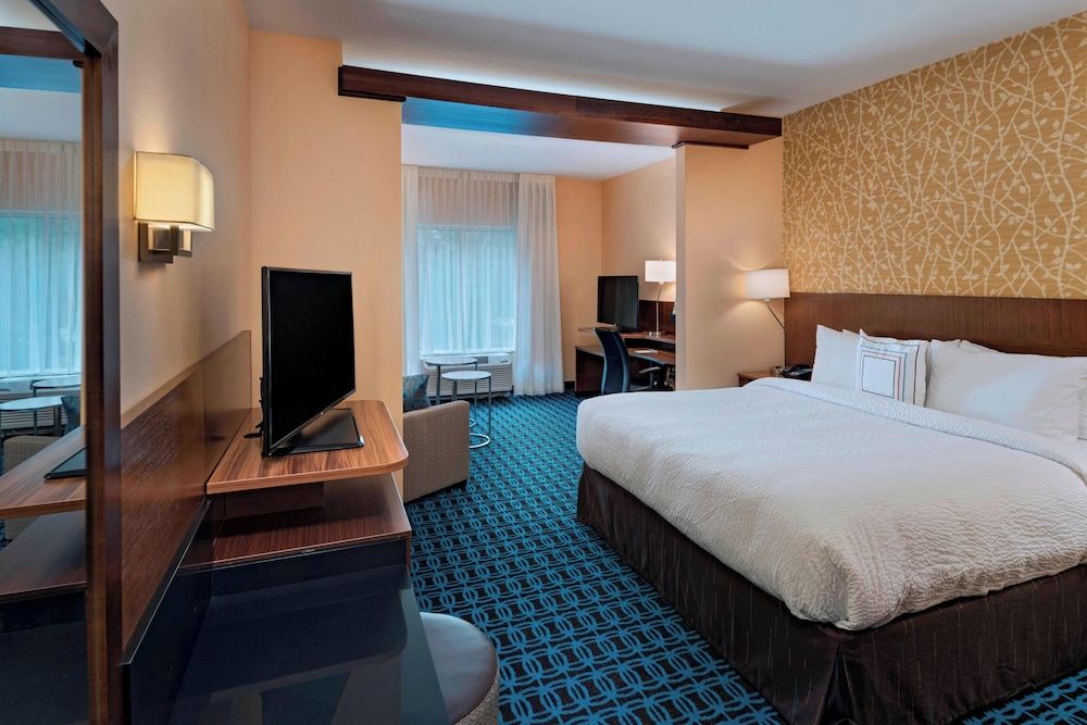 Suite, 1 King Bed with Sofa bed, Non Smoking (Hearing Accessible)
