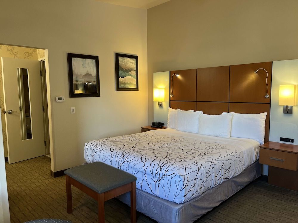 Standard Room, 1 King Bed, Non Smoking, Microwave