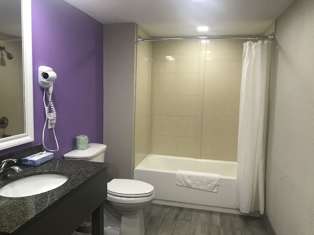 Suite, Queen and Sofa Bed, 1 Bedroom