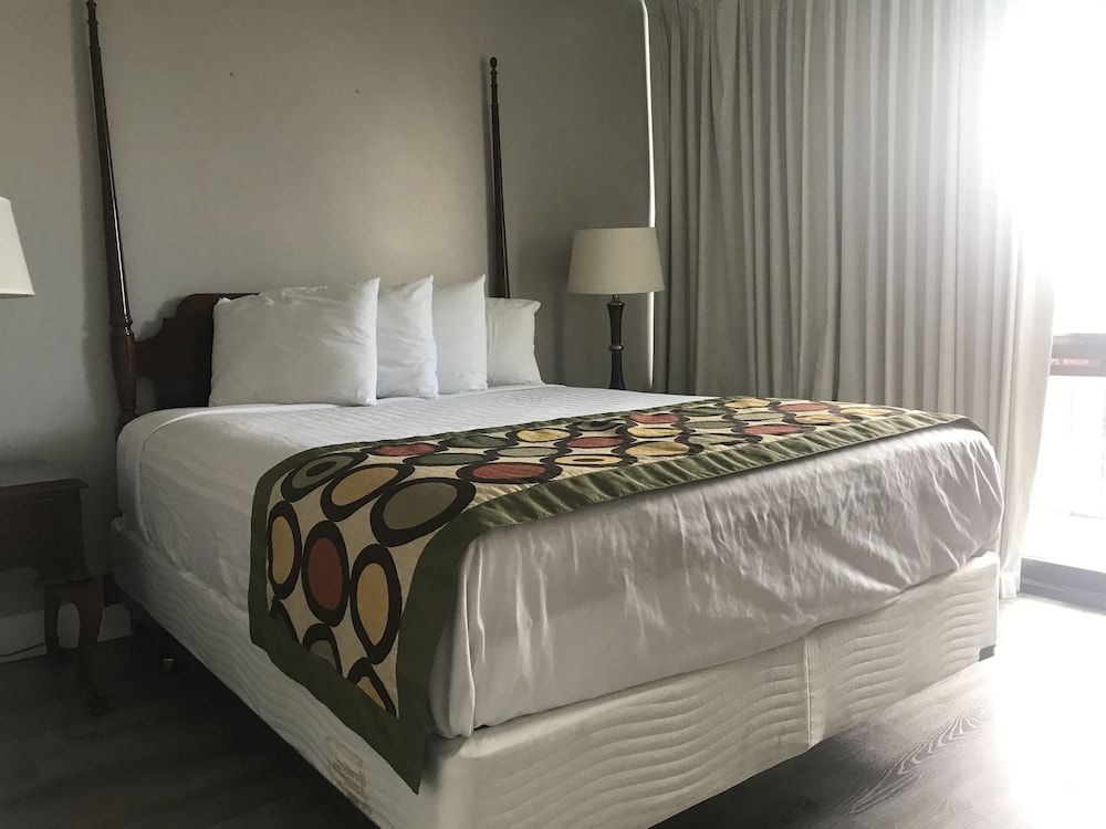 Suite, Queen and Sofa Bed, 1 Bedroom