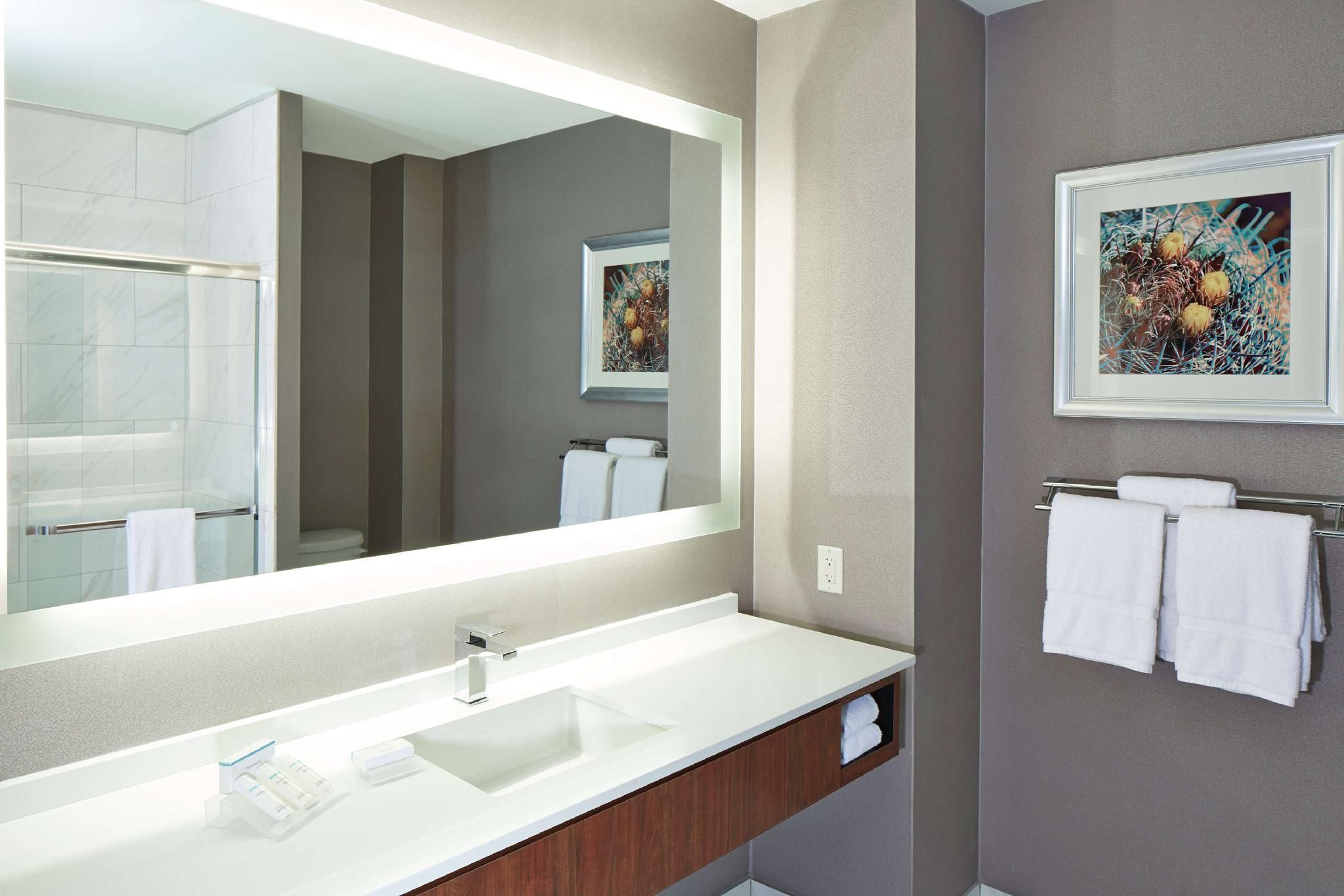 1 QUEEN MURPHY BED-HOSPITALITY SUITE