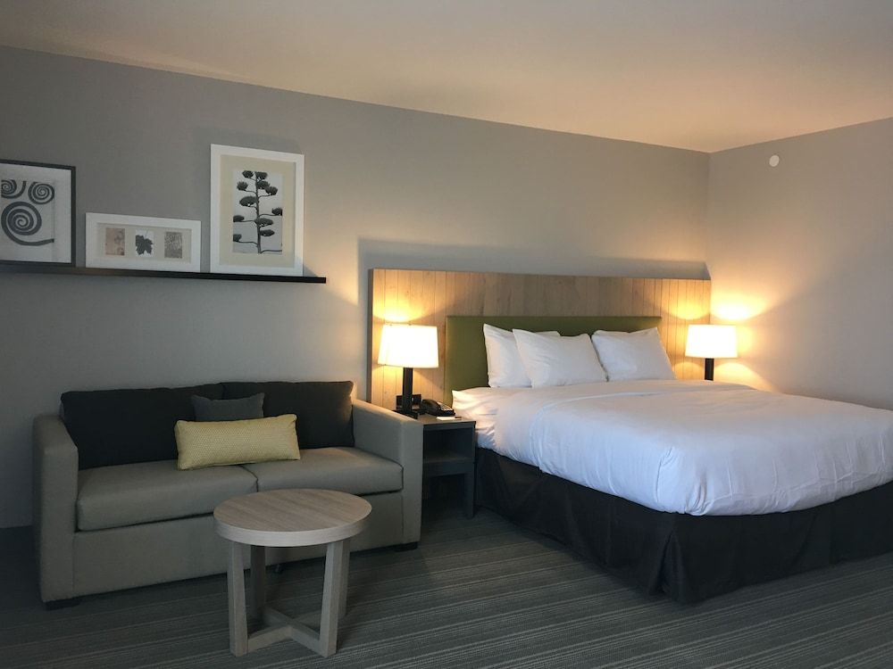 Room, 1 King Bed, Non Smoking