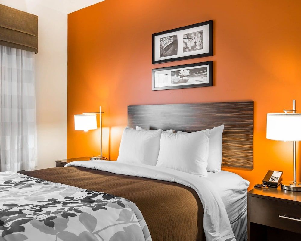 Room, 1 King Bed, Accessible, Non Smoking