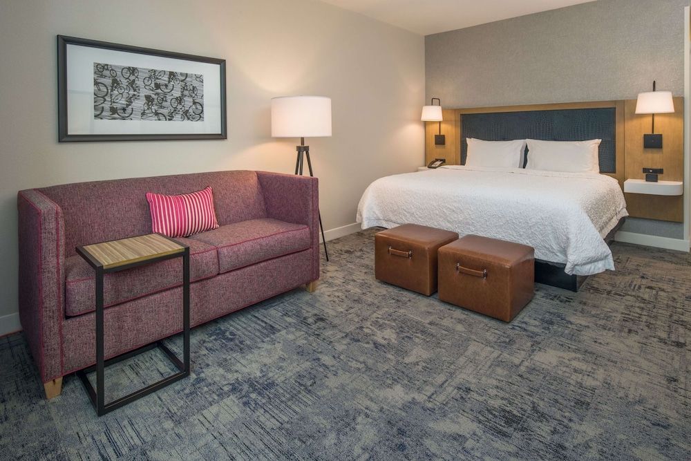 Room, 1 King Bed with Sofa bed
