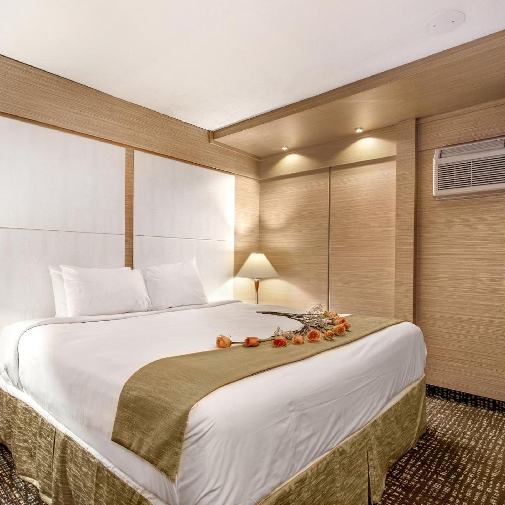 1 BEDROOM, SUITE